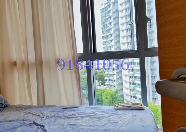 The Scala (D19), Apartment #175391992